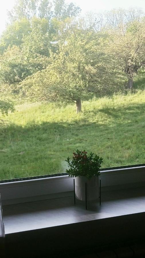 Przylesie Appartement Uniejow Buitenkant foto